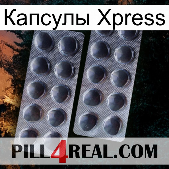 Капсулы Xpress 31.jpg